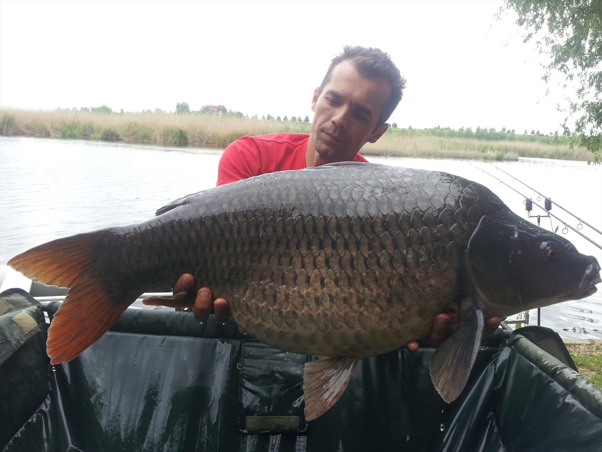 Tancabesti 1 - 4 iunie 2014 - 20150506153042.jpg